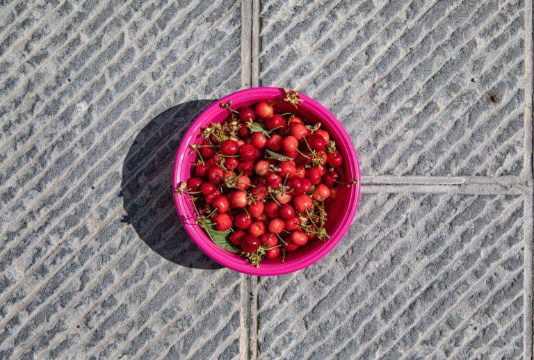 pink bowl of cherries on the ground 對比跟對稱攝影一樣，在我們的生活中無處不在， 如:令人垂涎的餐點攝影、還是自然界的美麗花草、新鮮蔬果甚至動物身上的纹路...等， 而透過強烈的對比拍攝，不管是在Instagram圖片還是Youtube影片都更容易給人留下深刻的印象。 在本文中，將研究色調對比和色彩對比之間的區別， 另外還分析曝光在高對比度圖像中的作用， 最終，了解可用於創建自己的獨特，高對比度照片的技術。