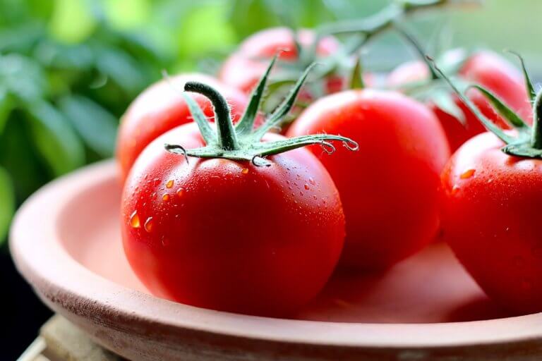 fresh tomatoes with drops of water 是否看過不少美食照，總如此讓人垂涎，而自己在拍攝時總少了些可口的感覺， 而現在不僅有智慧型手機可以隨手拍照，也能搭載許多拍攝美食的app， 其實這些美食拍攝道具已經沒有那麼煩雜，甚至可以直接上傳到自己的社交媒體與大家分享。 但把光線及構圖技巧應用在美食照上，絕對會使那美食照片更加可口! 繼明白如何拍攝美食後，本文也補充美食寫真的信息提供參考。